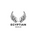 Egyptian Eagle - Home